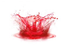 Blood colour drop splashing on white background