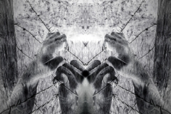 Artistic surreal tortured hands grasping desperately barbed wire (infrared)