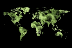 Map of world made of herbal green connections