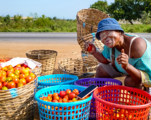 Happy Tomatoes