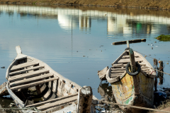 Tradition vs Progress