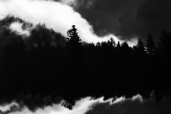 Restless Nature