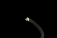 Playful Moon