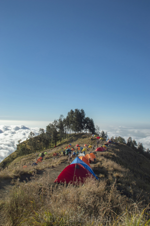 On the Rim above the World