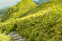 Descending Mt. Pelee