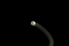 Playful Moon