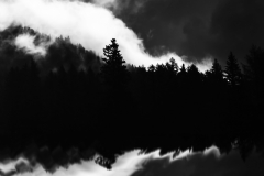 Restless Nature