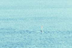 The Windsurfer