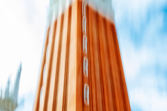 The Tallest Fellow