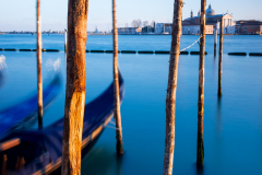 Blue Wood