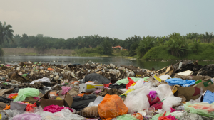 Trash in Countryside